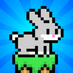 Bunny Hop